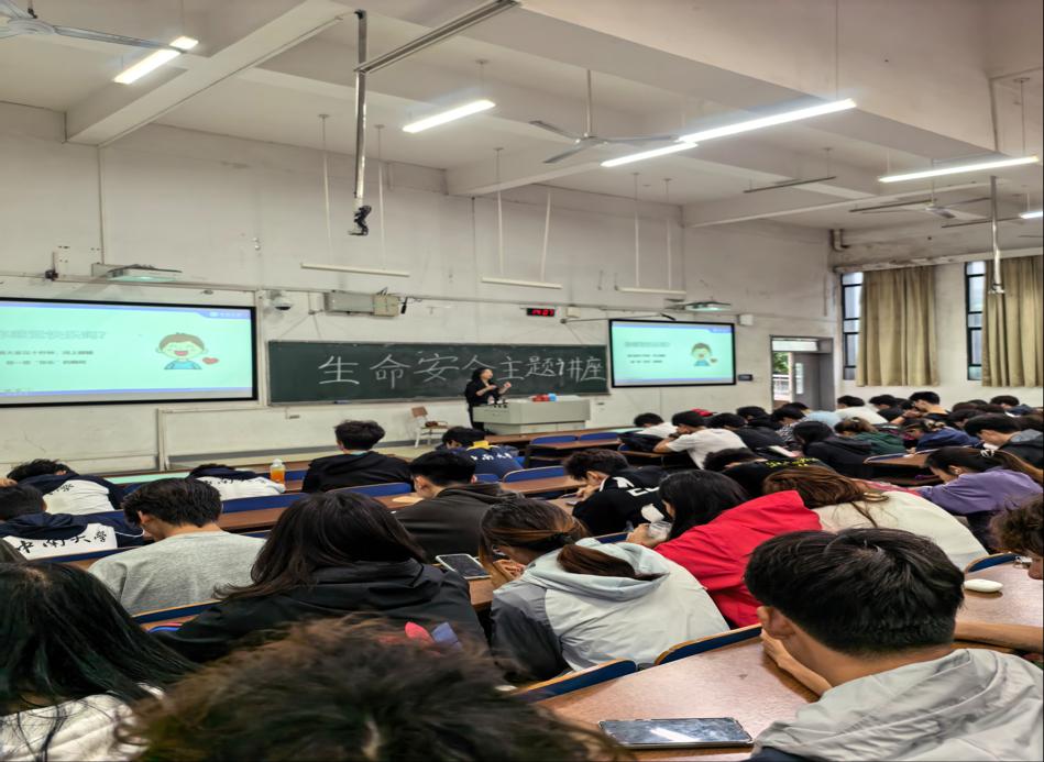 678体育官方指定端