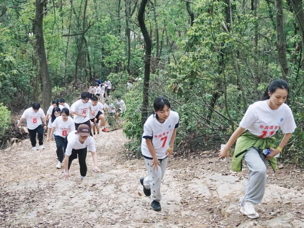 678体育核心通道