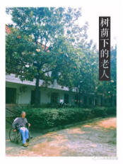 678体育备用网址