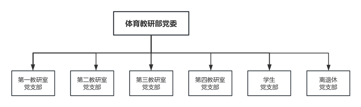 678体育体育频道